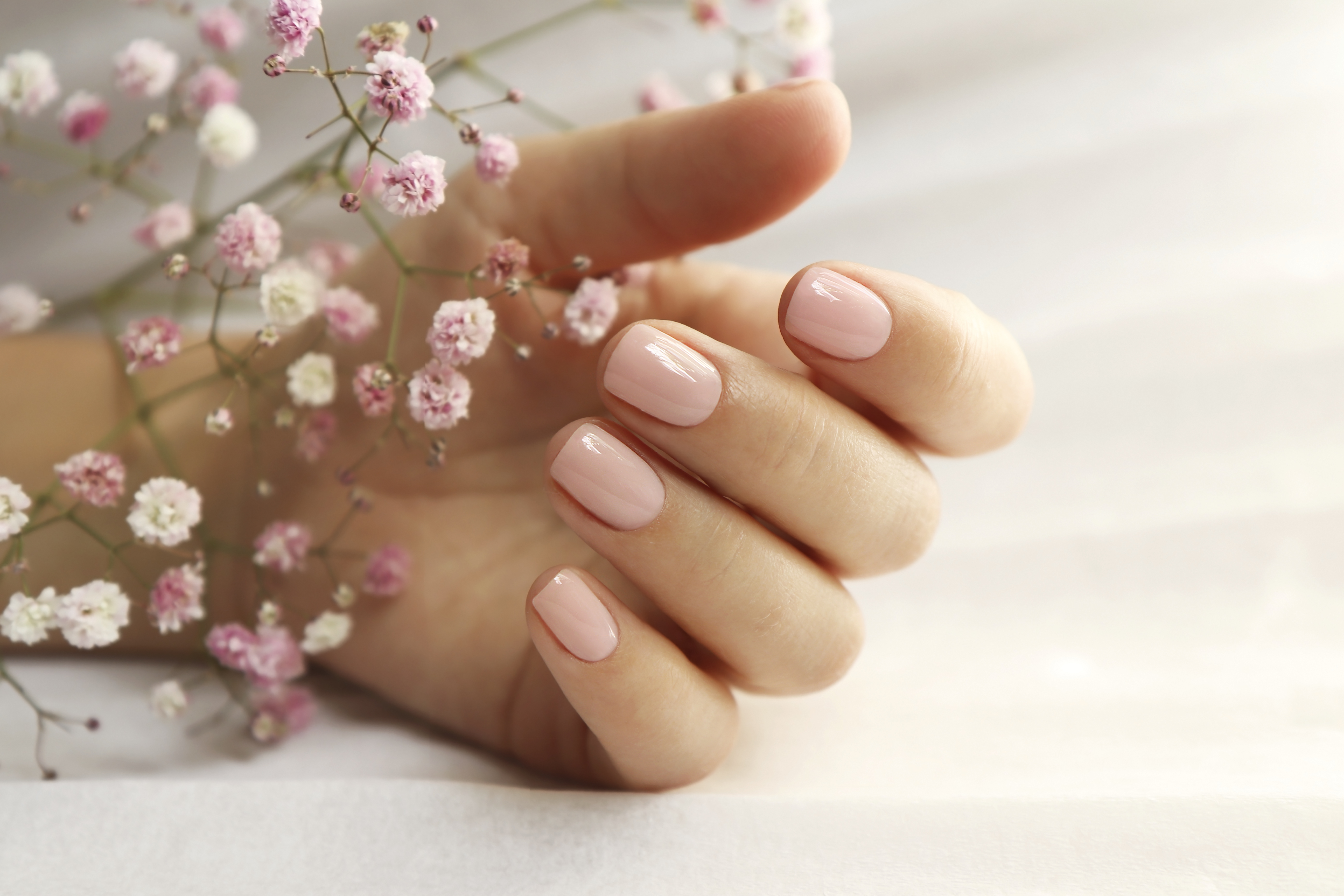 Light pink manicure on short nails with Gypsophila.